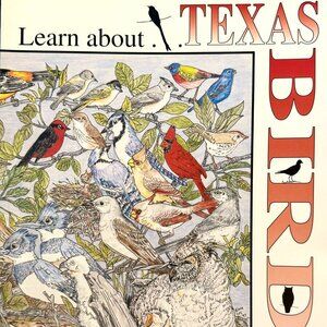 Learn About TEXAS BIRDS for kids ages 6-12 Educational Activity Book pb